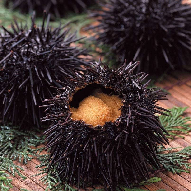 uni(sea urchin)