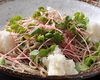 Chilled buckwheat soba noodles topped with vegetables