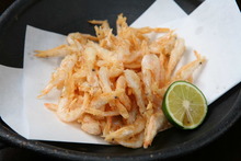 Fried small shrimp