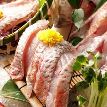 Thinly sliced rosy seabass sashimi