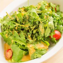 Coriander salad