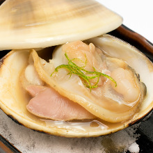 Grilled common orient clams