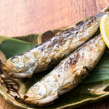 Other grilled fish