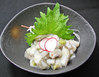 Wasabi octopus Wasabi octopus