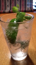 Mojito