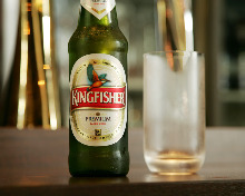 Kingfisher Kingfisher