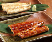 Grilled eel without seasoning