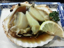 Scallop sashimi