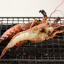 Ise ebi(spiny lobster)