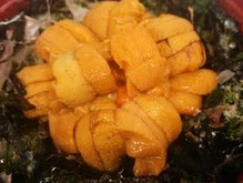 Sea urchin rice bowl