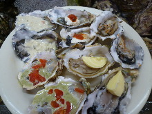 Oysters