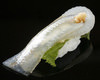 Sayori(halfbeak) Sayori(halfbeak)