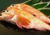 Kichiji rockfish (salt grilled or simmered) Kichiji rockfish (salt grilled or simmered)