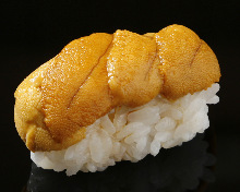 Uni(sea urchin)