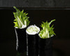 Cucumber and salt roll Cucumber and salt roll