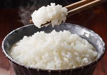 Rice