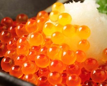 Salmon roe rice bowl