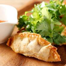 Fried gyoza