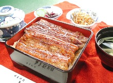 Premium eel served over rice in a lacquered box