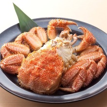 Sugata-zukuri (sliced sashimi served maintaining the look of the whole fish)