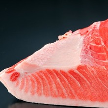 Maguro(tuna)