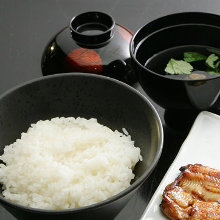 Rice