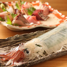 Sashimi