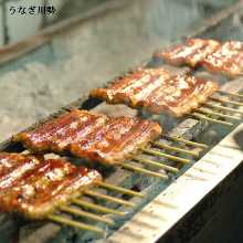 Extra premium eel served over rice in a lacquered box