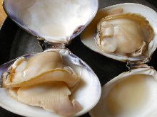 Grilled common orient clams