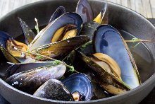 Mussels steamed in wine