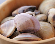 Grilled common orient clams