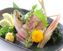 Live horse mackerel sashimi