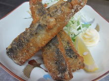 Fried fish