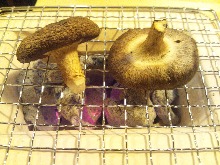 Shiitake Mushrooms