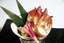 Grilled live sakhalin surf clams