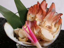 Seared sakhalin surf clam