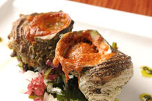 Grilled turban shell