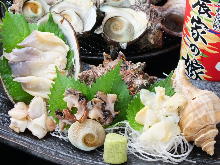 Assorted shellfish sashimi