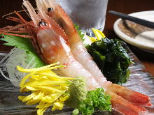 Botan shrimp sashimi