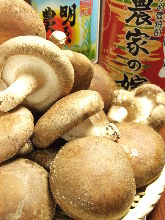 Shiitake Mushrooms