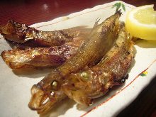 Grilled shishamo smelt