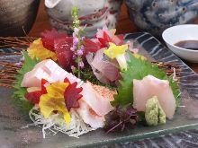 Assorted sashimi