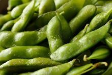 Soy beans