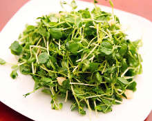 Stir-fried pea shoots