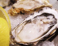 Raw oyster