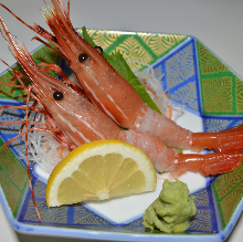 Ama ebi (pink shrimp) sashimi