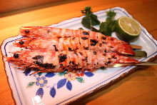 Salted and grilled Japanese tiger prawn