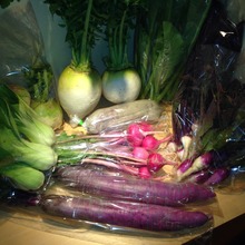 Seasonal Grilled Vegetables