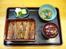 Premium eel served over rice in a lacquered box