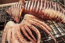 Grilled Whole Squid